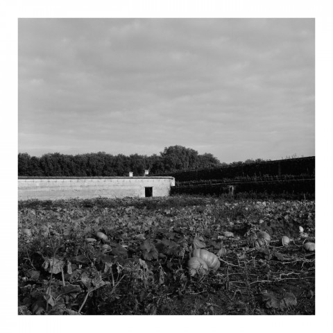 110-03-Le Potager du Roi, vue 3