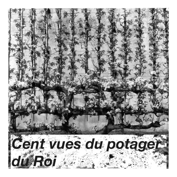 Cent vues du Potager du Roi